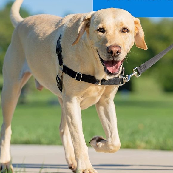 PetSafe Easy Walk No Pull Dog Harness Stop Pulling & Choking Med/Large - Picture 1 of 3